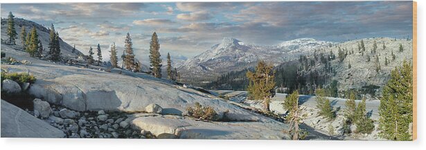 California Wood Print featuring the photograph California Mountains Tioga Pass Rocky Paradise panorama by Dan Carmichael