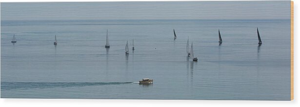  Wood Print featuring the photograph Lake Michigan Zepher by Dan Hefle