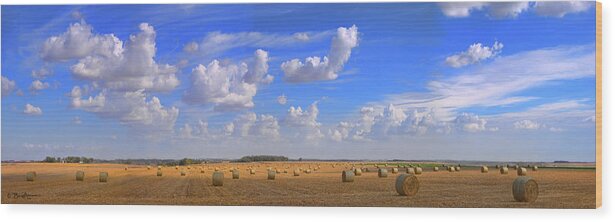 Ag Landscape Wood Print featuring the photograph M12 Bales by Bruce Morrison