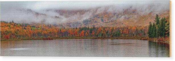 Fog Wood Print featuring the photograph The Basin in Fog by Jeff Folger