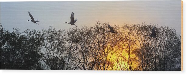 Pt001 Wood Print featuring the photograph Sunrise flight PT001 by Yoshiki Nakamura