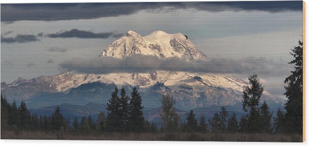 Landscape Wood Print featuring the photograph Where Eagles Soar by Rory Siegel