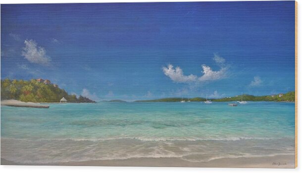 St. Thomas Wood Print featuring the painting Secret Harbour Blue by Alan Zawacki