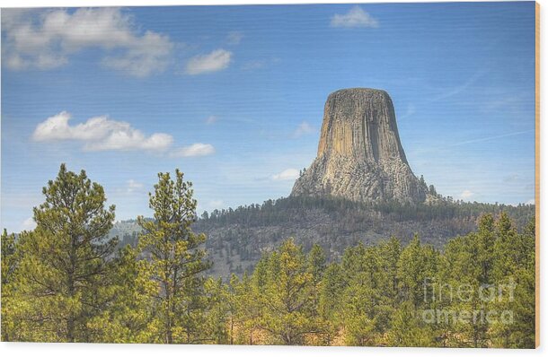 Devils Tower Wood Print featuring the photograph Old As The Hills by Anthony Wilkening