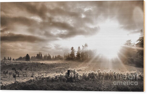 Landscape Wood Print featuring the photograph Hope II by Rory Siegel