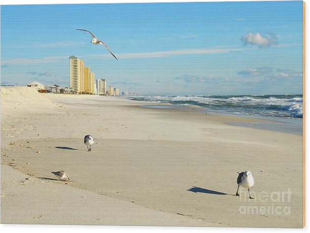 Gulf Of Mexico Wood Print featuring the photograph Beach Birds by Anthony Wilkening