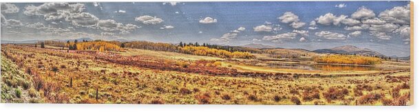 Panorama Wood Print featuring the photograph Just North of Fairplay Colorado by Lanita Williams
