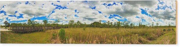 Everglades Wood Print featuring the photograph Florida Everglades #17 by Raul Rodriguez