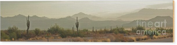 Arizona Wood Print featuring the photograph Desert Hills by Julie Lueders 