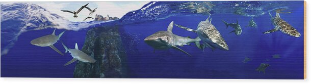 Sharks Wood Print featuring the digital art Shark scene by Artesub