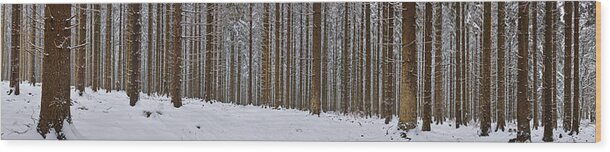 Scenics Wood Print featuring the photograph Snow-covered Forest In Winter #1 by Hans-peter Merten