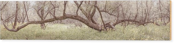 Panorama Wood Print featuring the photograph Reaching Out Over the Pale Meadow by Debra and Dave Vanderlaan