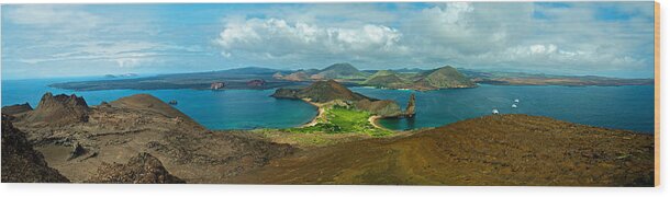 Galapagos Wood Print featuring the photograph Ash to Wonder by Richard Gehlbach