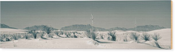 Desert Wood Print featuring the photograph Back Country by Racheal Christian