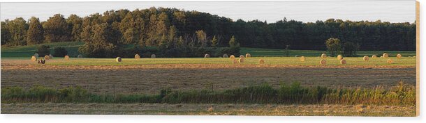 Panorama Wood Print featuring the photograph Country Bales by Doug Gibbons