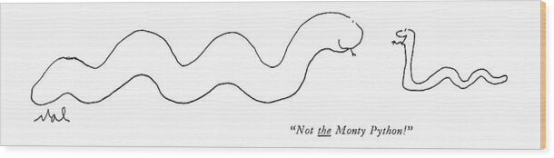 
(one Snake To Another.) Animals Wood Print featuring the drawing Not The Monty Python! by Malcom Hancock