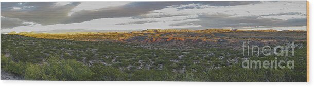 New Mexico Wood Print featuring the photograph Quebradas Back conutry by Steven Ralser