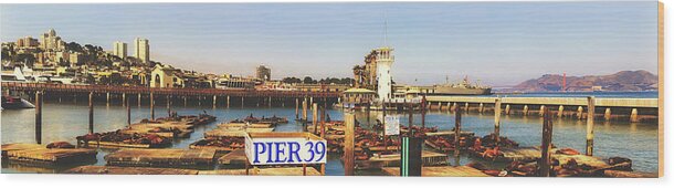San Francisco Wood Print featuring the photograph Sea Lions On Pier 39 #1 by Mountain Dreams