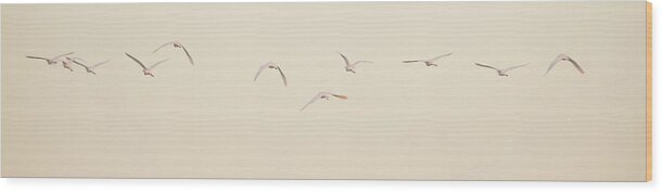 Egrets Wood Print featuring the photograph Egrets 2770-010620-2 by Tam Ryan