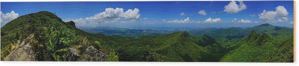 El Yunque Wood Print featuring the photograph El Yunque Rainforest by Amanda Jones