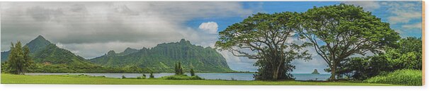 Bay Wood Print featuring the photograph Quintessential Hawaii 2 by Leigh Anne Meeks