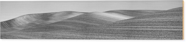 Agriculture Wood Print featuring the photograph Terrain by Jon Glaser