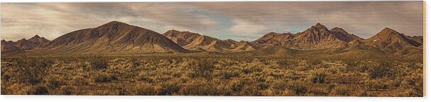California Wood Print featuring the photograph Titus Canyon Start by Peter Tellone