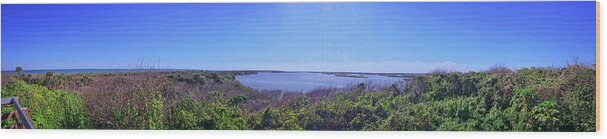 Lagoon Wood Print featuring the photograph Mosquito Lagoon Panorama by George Taylor