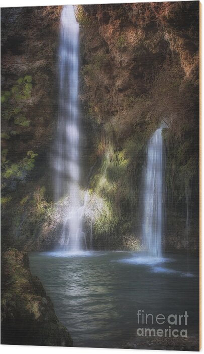 Tree Wood Print featuring the photograph Dripping Springs Falls by Tamyra Ayles