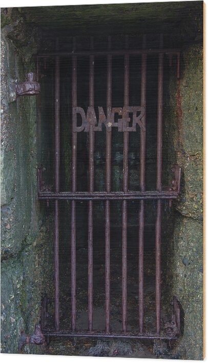 Danger Wood Print featuring the photograph Danger 1 by Steev Stamford