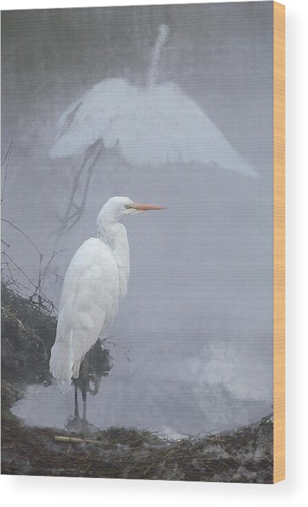 Great Egrets Wood Print featuring the photograph . . . Into the Mist . . . by I'ina Van Lawick