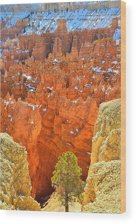 Bryce Canyon National Park Wood Print featuring the photograph Bryce Canyon #12 by Ray Mathis