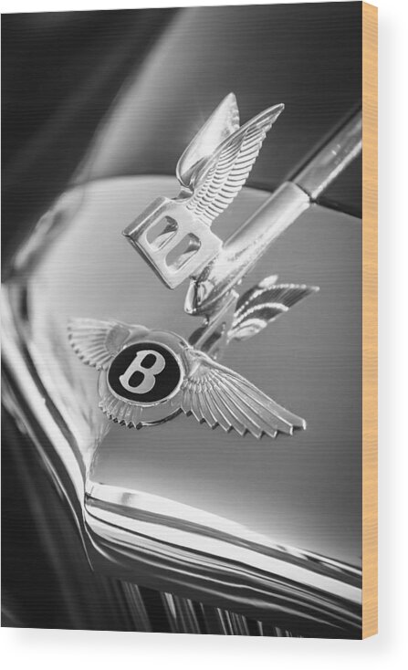 1961 Bentley S2 Continental flying Spur Hood Ornament Wood Print featuring the photograph 1961 Bentley S2 Continental Hood Ornament - Emblem by Jill Reger