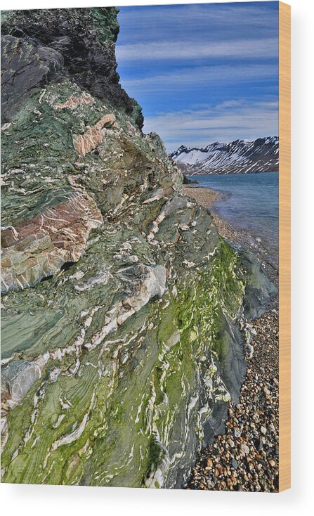 Svalbard Islands Wood Print featuring the photograph Beautiful Landscape Around Alkehornet #1 by Darrell Gulin