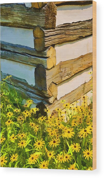  Wood Print featuring the photograph Black-eyed Susans #1 by Dana Sohr