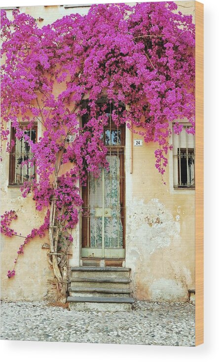 Bougainvillea Wood Print featuring the photograph Bougainvillea Doorway #1 by Allen Beatty