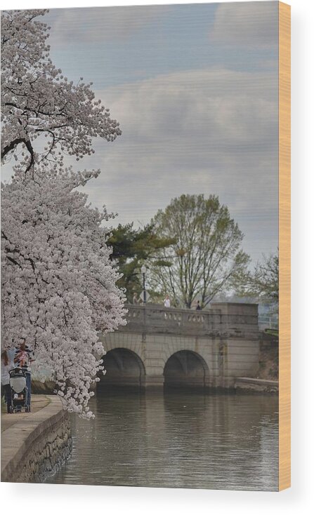 America Wood Print featuring the photograph Cherry Blossoms - Washington DC - 011328 #1 by DC Photographer