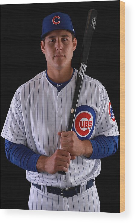 Media Day Wood Print featuring the photograph Chicago Cubs Photo Day #1 by Gregory Shamus