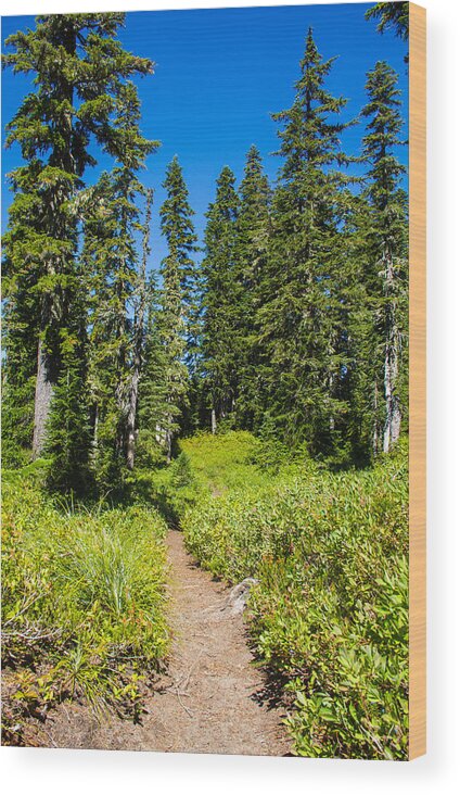Junction Lake Wood Print featuring the photograph Clear blue skies #1 by Kunal Mehra