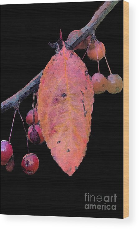 Crabapples Wood Print featuring the photograph Crabapples #1 by Betty LaRue