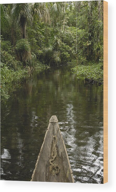 Feb0514 Wood Print featuring the photograph Dugout Canoe In Blackwater Stream #1 by Pete Oxford