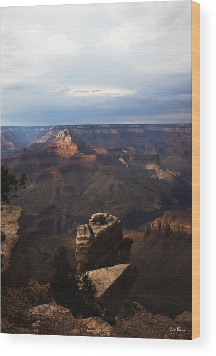 Grand Canyon View Wood Print featuring the photograph Grand Canyon View #1 by Ivete Basso Photography
