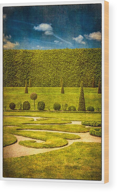 20th Centuary Garden Wood Print featuring the photograph Hampton Court 'The Privy Garden #1 by Lenny Carter