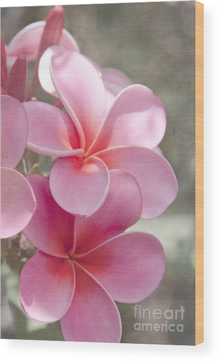 Aloha Wood Print featuring the photograph In the Path of a Dream by Sharon Mau