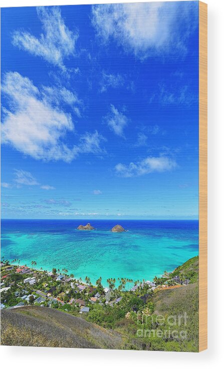 Lanikai Beach Wood Print featuring the photograph Lanikai Beach From the Pillbox Trail #1 by Aloha Art