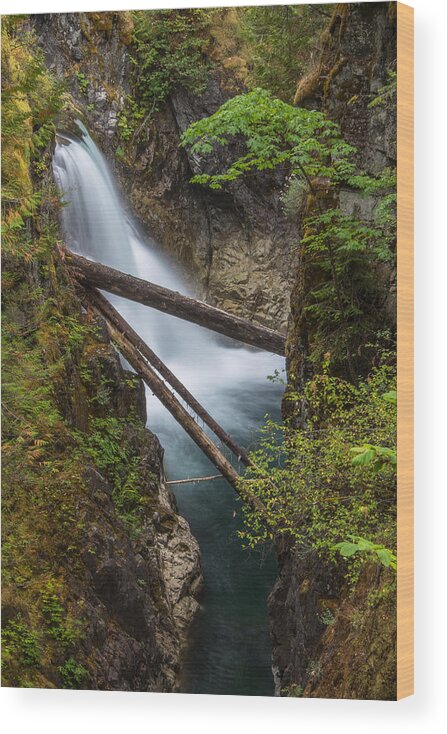 British Columbia Wood Print featuring the photograph Little Qualicum Falls #1 by Carrie Cole