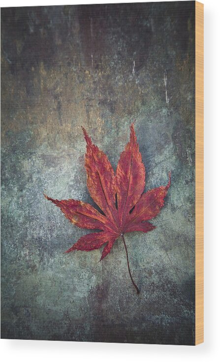 Abstract Wood Print featuring the photograph Maple Leaf #1 by Maria Heyens
