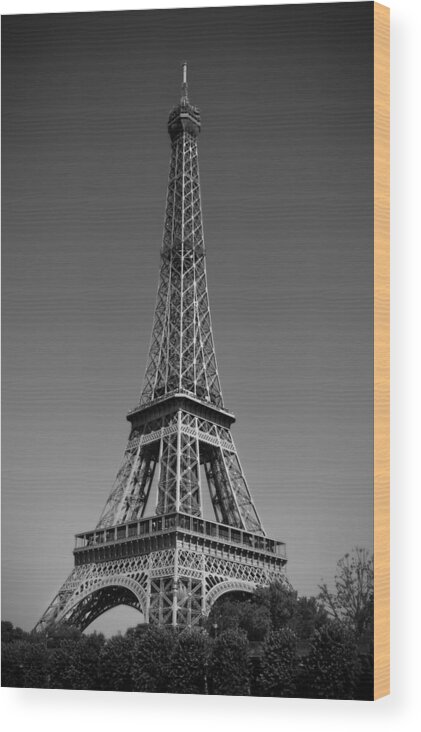 Not A Cloud In Paris Wood Print featuring the photograph Not a Cloud In Paris #1 by Kamil Swiatek