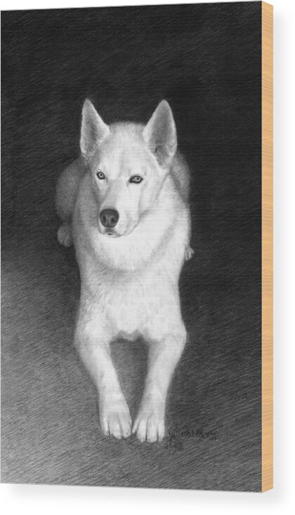 Pencil Drawing Print Wood Print featuring the drawing Nykia #2 by Joe Olivares