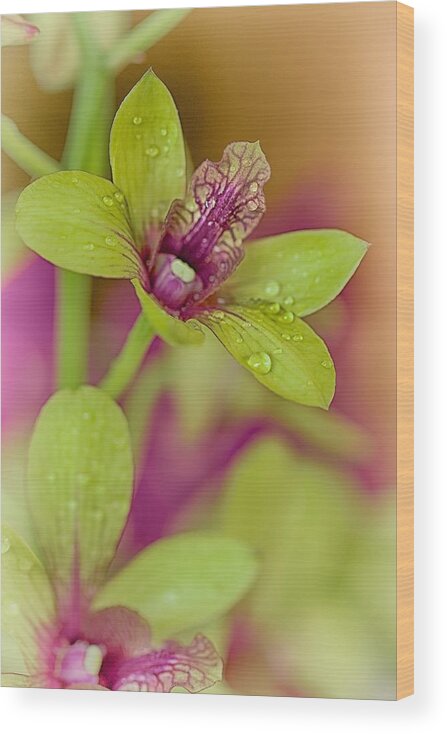 Floral Wood Print featuring the photograph Purple Tongue #1 by Jade Moon 